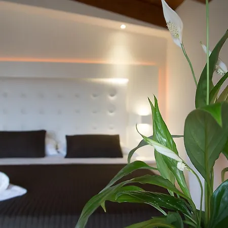 Boutique E Citta Bianca