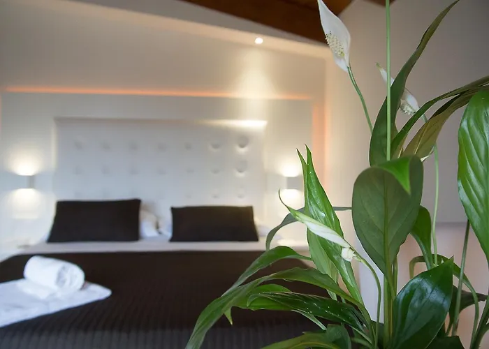 Boutique E Citta Bianca